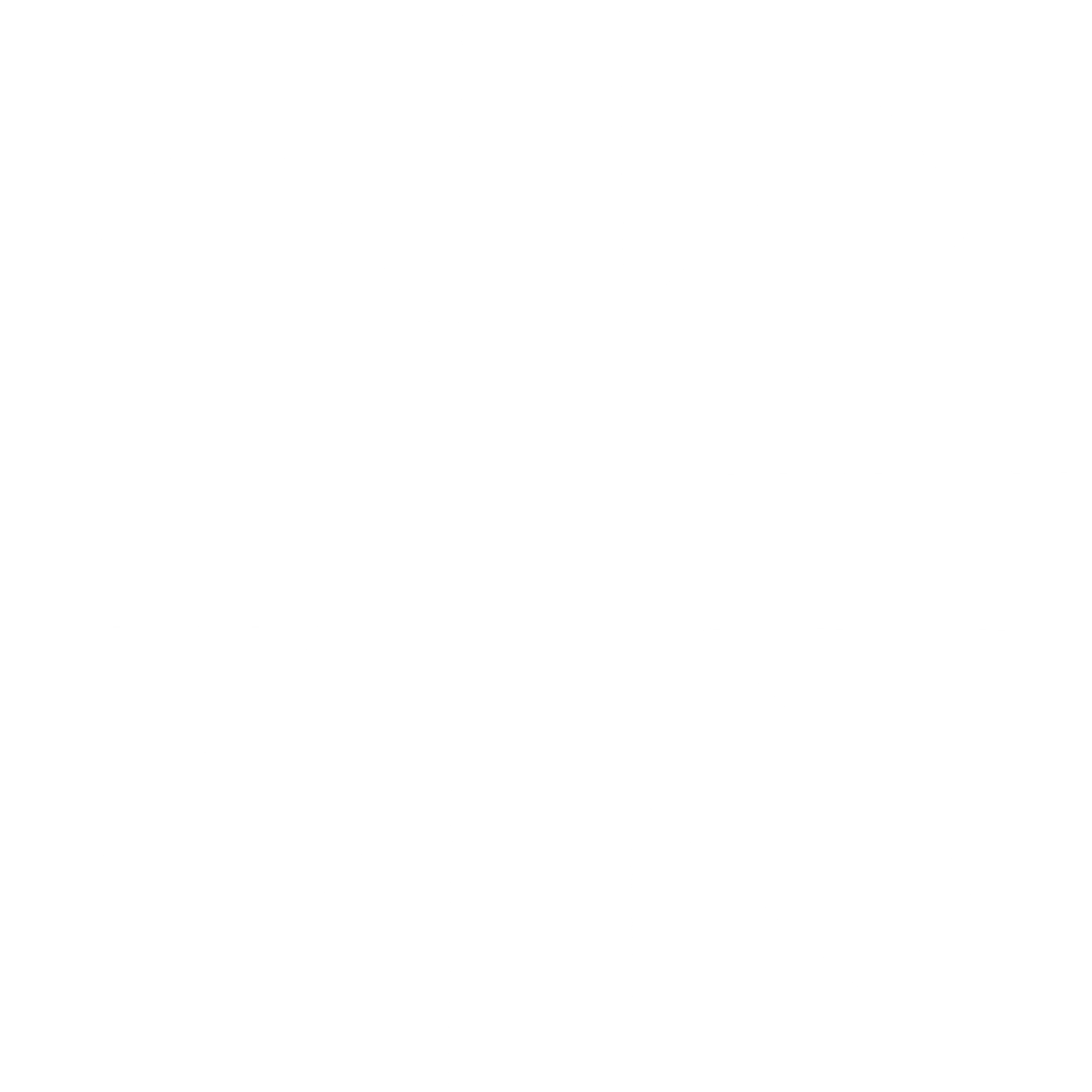 Vector transparente